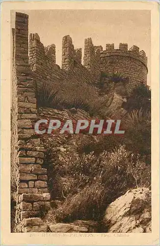 Cartes postales Hyeres Le Palmiers