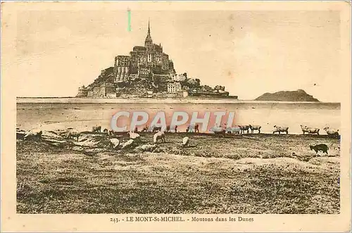 Cartes postales Le Mont Saint Michel Moutons dans les Dunes Moutons Chevre