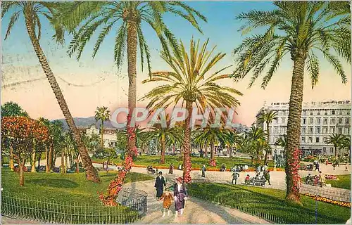 Cartes postales Nice Le Jardin Albert 1er