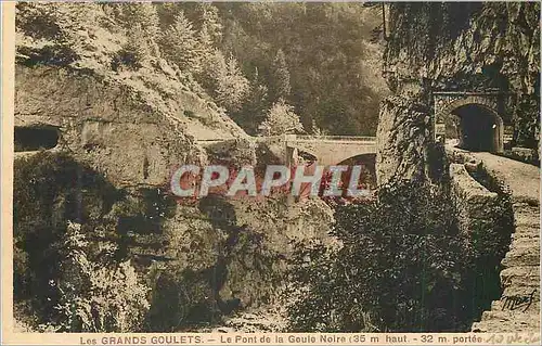 Cartes postales Les Grands Goulets Le Pont de la Goule Noire (35 m de haut 32 m portee)