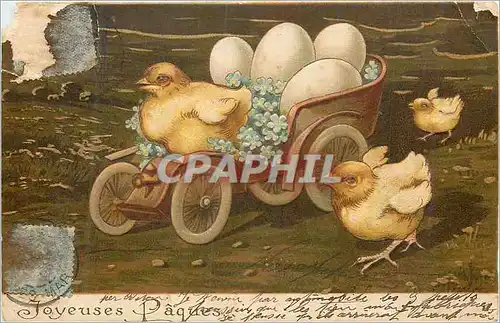 Cartes postales Joyeuses P�ques Poussins �ufs