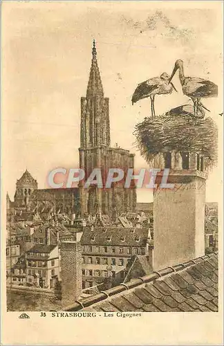 Cartes postales Strasbourg Les Cigognes