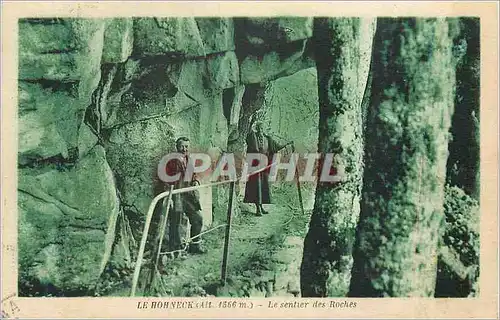 Cartes postales Le Hohneck (Alt 1566 m) Le Sentier des Roches