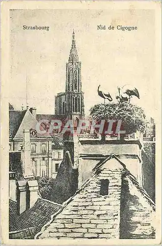 Cartes postales Strasbourg Nid de Cigogne