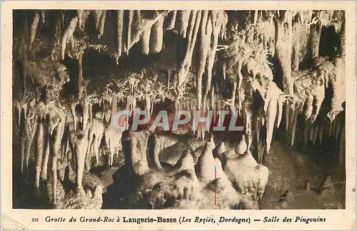Ansichtskarte AK Entree de la Grotte du Grand Roc a Laugerie Basse (Les Eyzies Dordogne) Salle des Pingouins