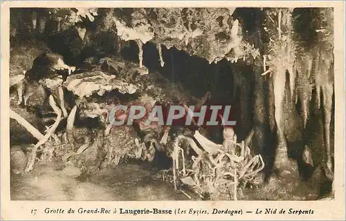 Ansichtskarte AK Grotte du Grand Roc a Laugerie Basse (Les Eyzies Dordogne) Le Nid de Serpents