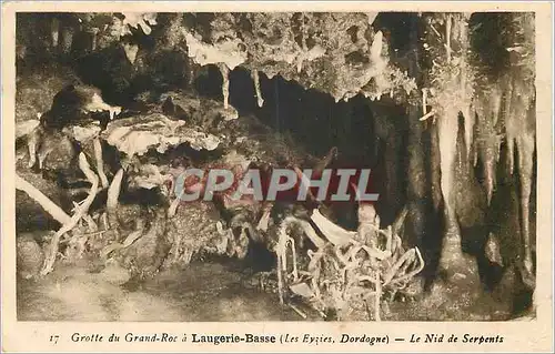 Cartes postales Grotte du Grand Roc a Laugerie Basse (Les Eyzies Dordogne) Le Nid de Serpents