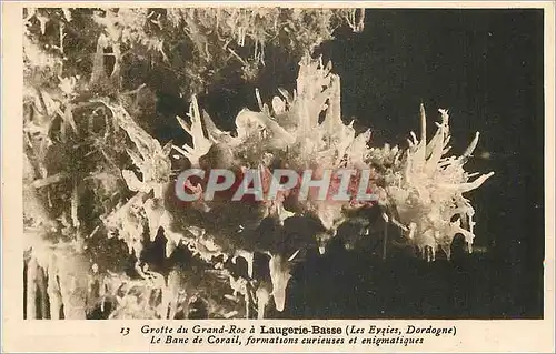 Ansichtskarte AK Grotte du Grand Roc a Laugerie Basse (Les Eyzies Dordogne) Le Blanc de Corail