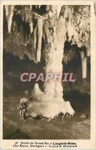 Ansichtskarte AK Grotte du Grand Roc a Laugerie Basse (Les Eyzies Dordogne) Le Pied de Mammouth