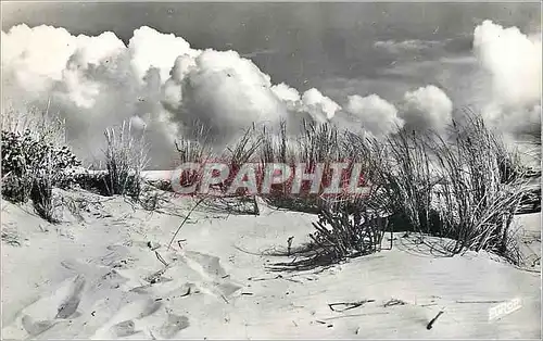 Cartes postales moderne Soir d'Orage sur la Dune