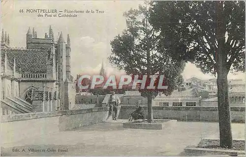 Cartes postales Montpellier Plate Forme de la Tour des Pins et Cathedrale