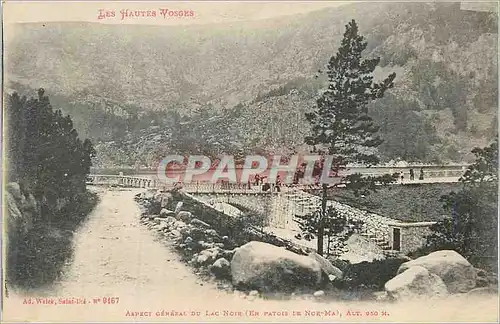 Ansichtskarte AK Les Hautes Vosges Aspect general du lac noir