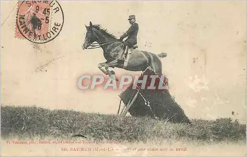 Cartes postales Saumur (M et L) Cheval Militaria