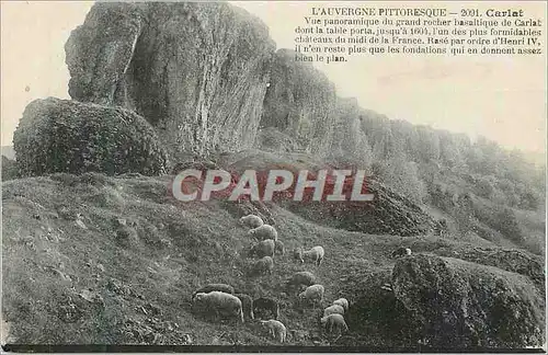 Cartes postales Carlat l'Auvergne Pittoresque Moutons