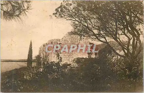 Cartes postales Brioni (Istria) Basilica Santa Madonna