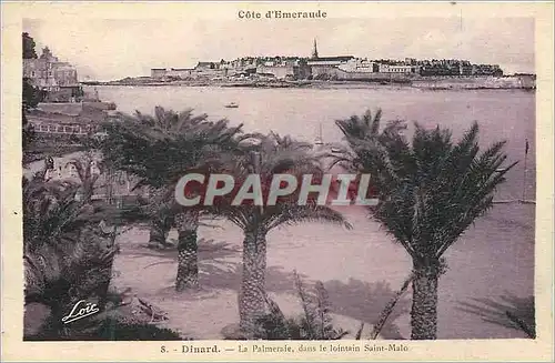 Cartes postales Dinard Cote d'Emeraude La Palmeraie dans le Lointain Saint Malo