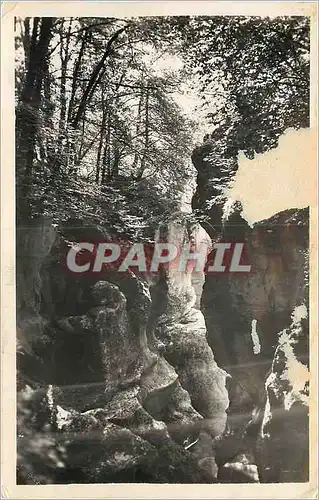 Cartes postales moderne Environs d'Annecy (H S) Les Gorges du Fier Les Beaux Sites au Printemps