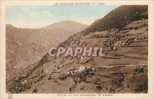 Ansichtskarte AK Melles Les Pyrenees Centrales Vue panoramique de Kabaich