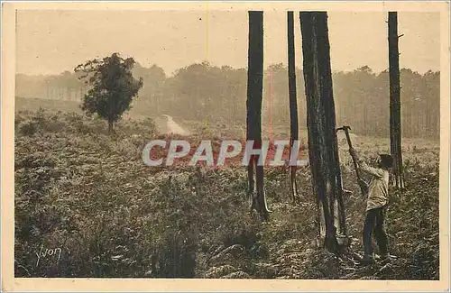 Cartes postales Les Landes de Gascogne La Douce France Le Resinier au Travail Folklore