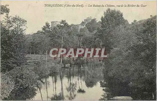 Cartes postales Tonquedec (Cotes du Nord) Les Ruines du Chateau vue de la Riviere du Guer