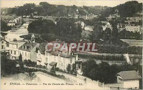 Cartes postales Epinal Panorama Vue du Chemin des Princes