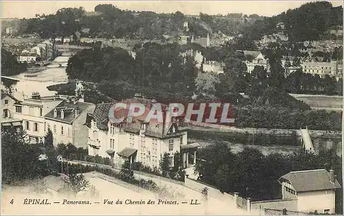 Cartes postales Epinal Panorama Vue du Chemin des Princes