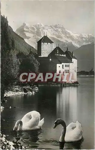 Moderne Karte Chateau de Chillon et Dents du Midi Cygnes