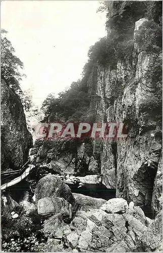 Cartes postales moderne Amelie les Bains (PO) Gorges du Mondony