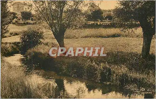 Cartes postales Chatel Guyon (Puy de Dome) le Sardon