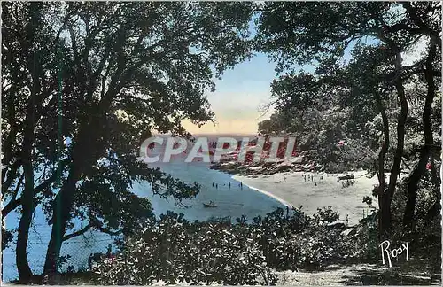 Cartes postales moderne Noirmoutier (Vendee) Vue Prise du Tambourin