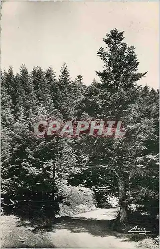 Cartes postales moderne Ruffieu (Ain) Col de la Rochette