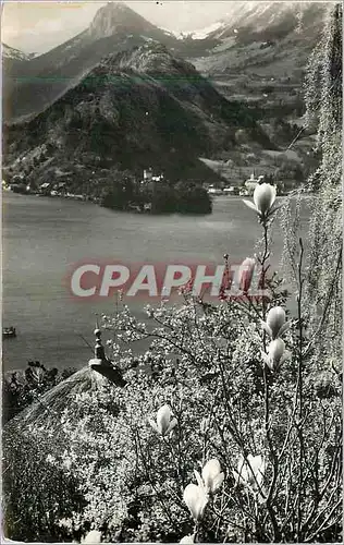 Moderne Karte Lac d'Annecy Partout Chante le Printemps