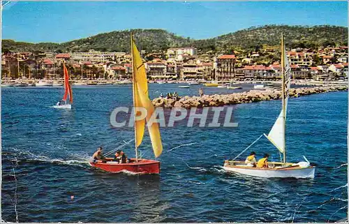 Cartes postales moderne Bandol Lumiere et Beaute de la Cote d'Azur Voiliers dans le Port Bateau