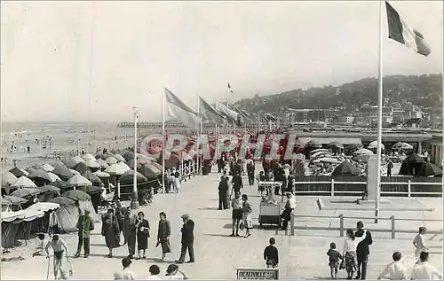 Cartes postales moderne Deauville Plage Fleurie Les Planches et la Plage Flamme Grande plage mondiale