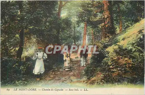 Ansichtskarte AK Le Mont Dore Chemin du Capucin Sous Bois