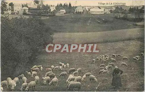 Cartes postales Village de la Courtine Bergere Moutons