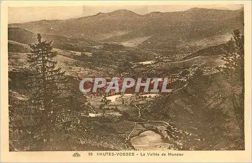 Cartes postales Hautes Vosges La Vallee de Munster