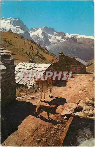 Moderne Karte Hameau de Haute Montagne Les Alpes en Couleurs Naturelles Ane Donkey Chien