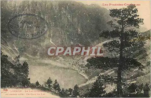 Cartes postales Luchon Les Pyrenees Centrales Le Lac Au dessus Un Coin du Lac