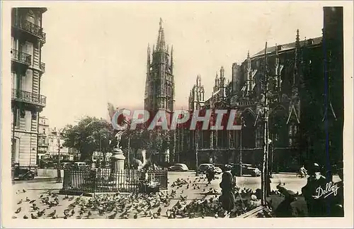 Cartes postales moderne Bordeaux Les Pigeons de la Cathedrale