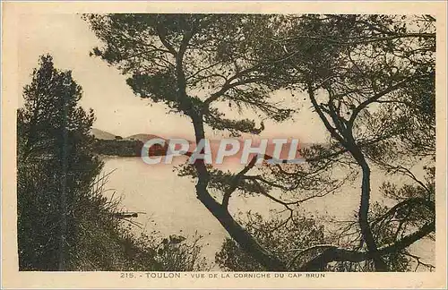 Cartes postales Toulon Vue de la Corniche du Cap Brun