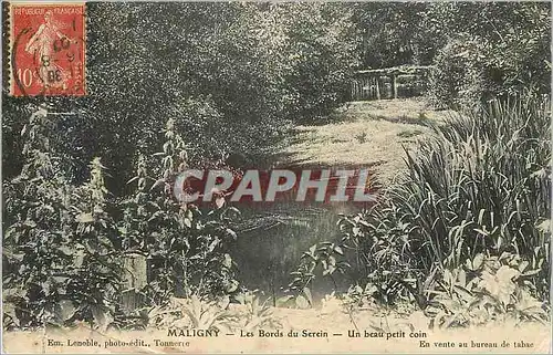 Cartes postales Maligny Les Bords du Serin Un Beau Petit Coin