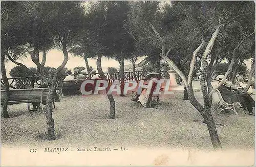 Ansichtskarte AK Biarritz Sous les tamaris