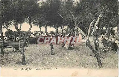 Cartes postales Biarritz Sous les tamaris