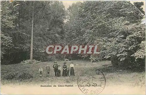 Cartes postales Domaine de Chez Noblet Salles d'Angles