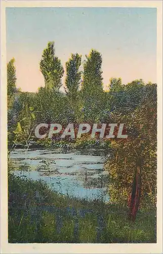 Cartes postales Asile Departement des Visillards de Matha (Ch Inf) Un Coin du Lac