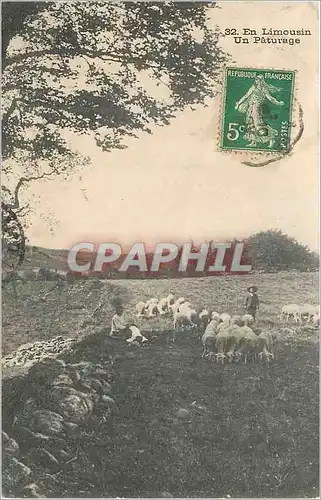 Ansichtskarte AK En Limousin Un Paturage Berger Moutons