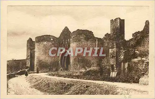 Cartes postales Domme (en Sarladais) La Dordogne Pittoresque Porte des Tours (Monument Historique de la fin du X