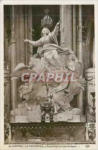 Cartes postales Chartres La Cathedrale L'Assomtion