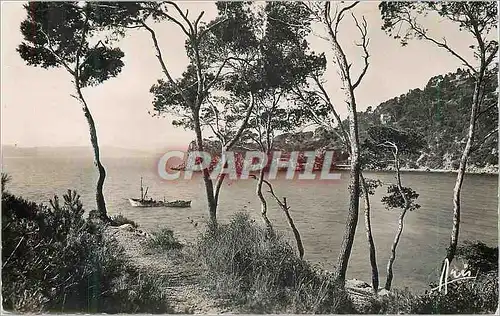 Moderne Karte Toulon Cap Brun Cote d'Azur Anse de Mejean